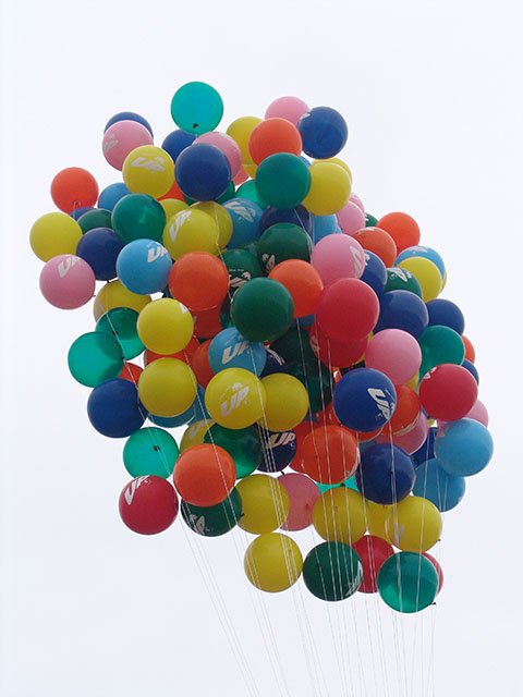 Printed disney's up balloons